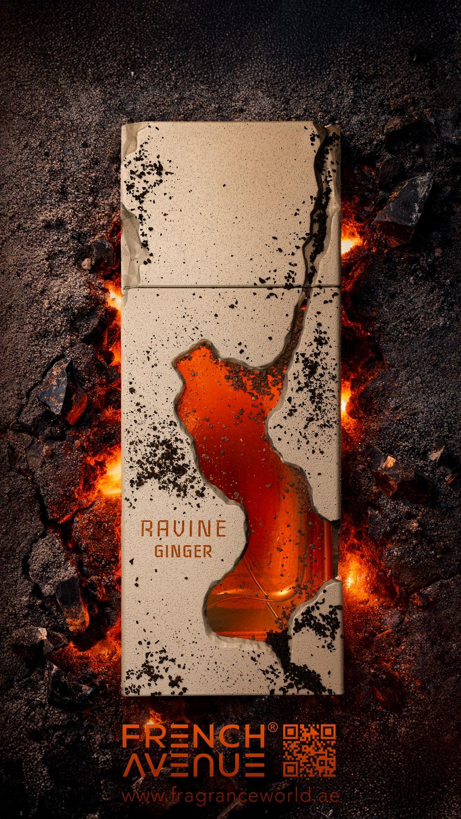 Ravine Ginger